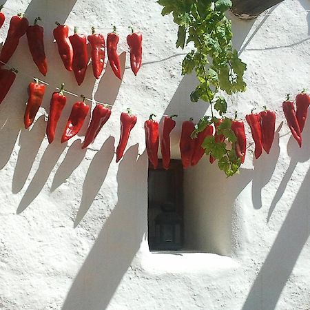 Níjar Hotel Rural Cortijo La Alberca מראה חיצוני תמונה