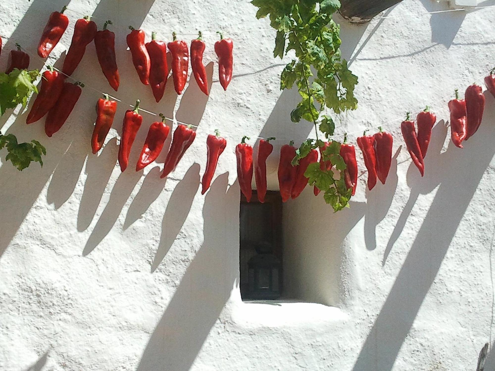 Níjar Hotel Rural Cortijo La Alberca מראה חיצוני תמונה