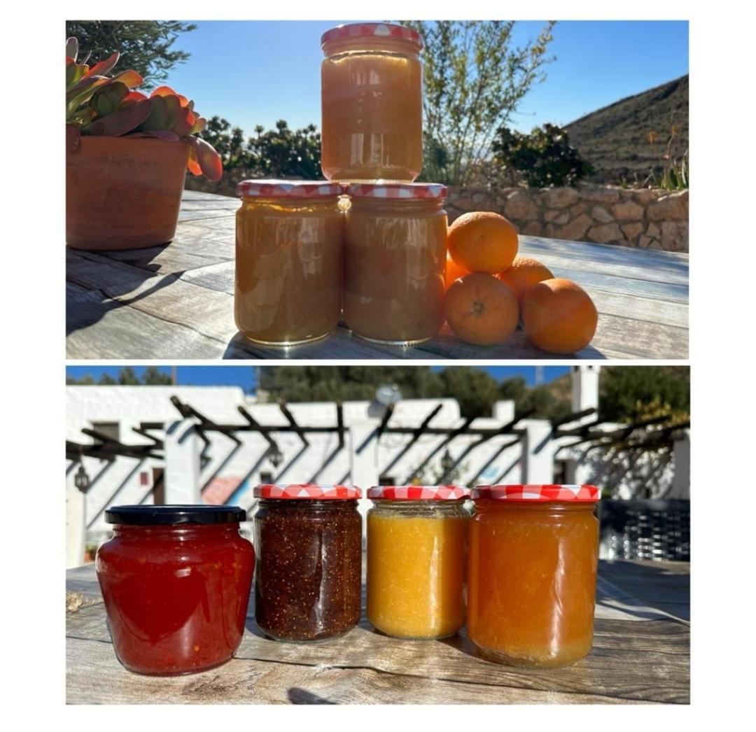 Níjar Hotel Rural Cortijo La Alberca מראה חיצוני תמונה