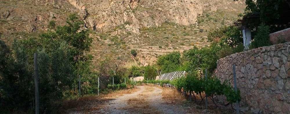 Níjar Hotel Rural Cortijo La Alberca מראה חיצוני תמונה