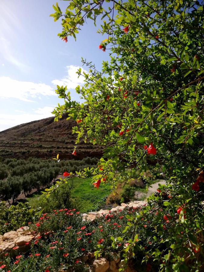Níjar Hotel Rural Cortijo La Alberca מראה חיצוני תמונה